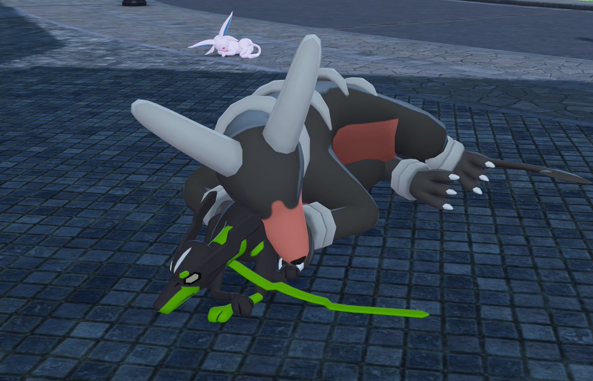 tamodaro_go's tweet image. 今日の犬