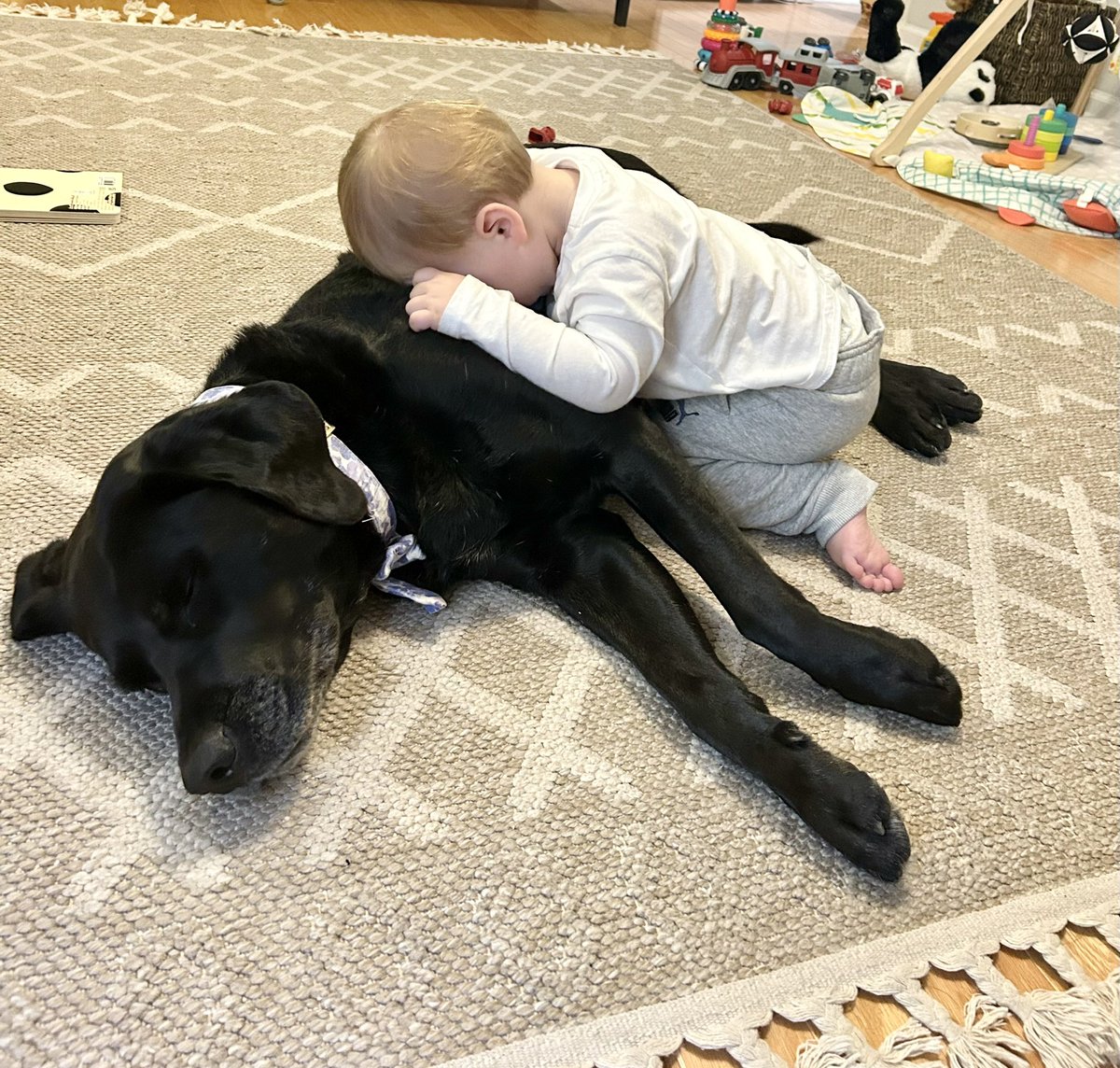 Mel Orlins tweet media