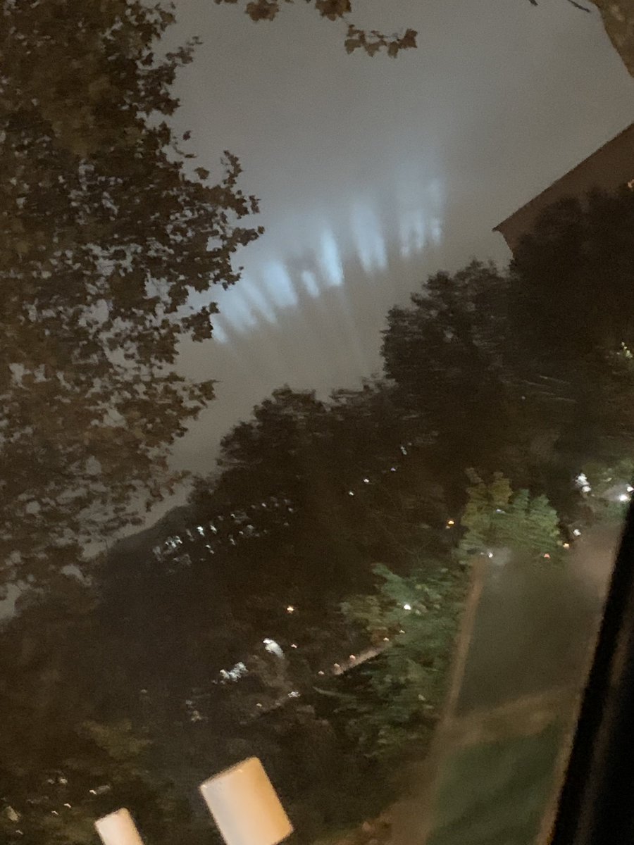 Sophie Tallendier🇫🇷 tweet media