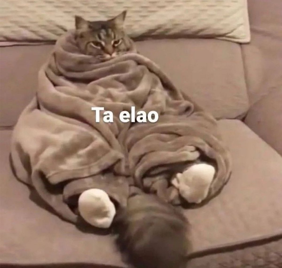 piña sin pizza (@skereunpesado) on Twitter photo 
