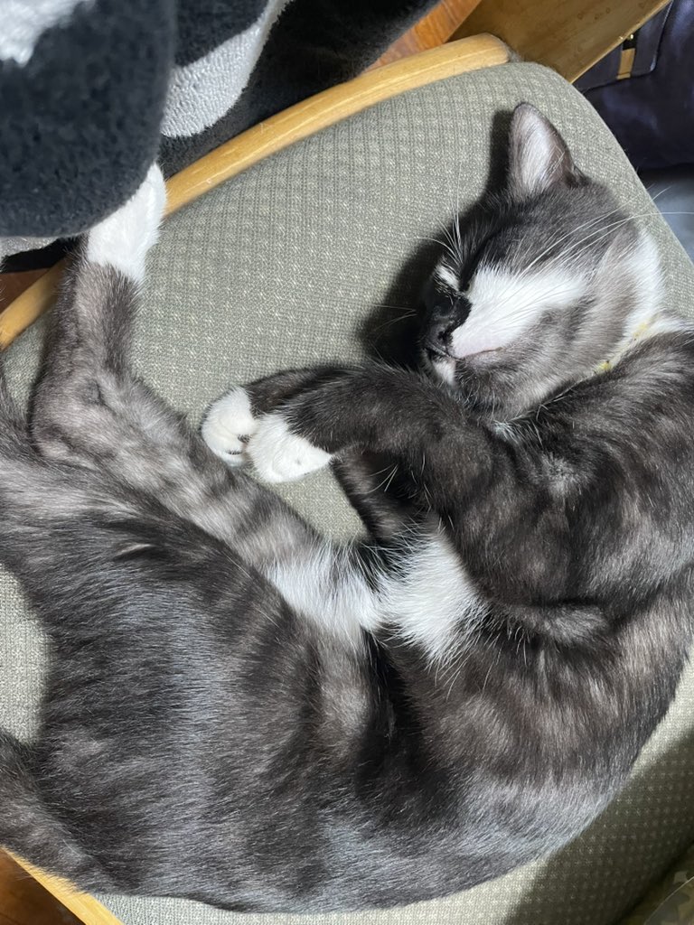 ルモ (@irei_kanna0601) / Posts / X