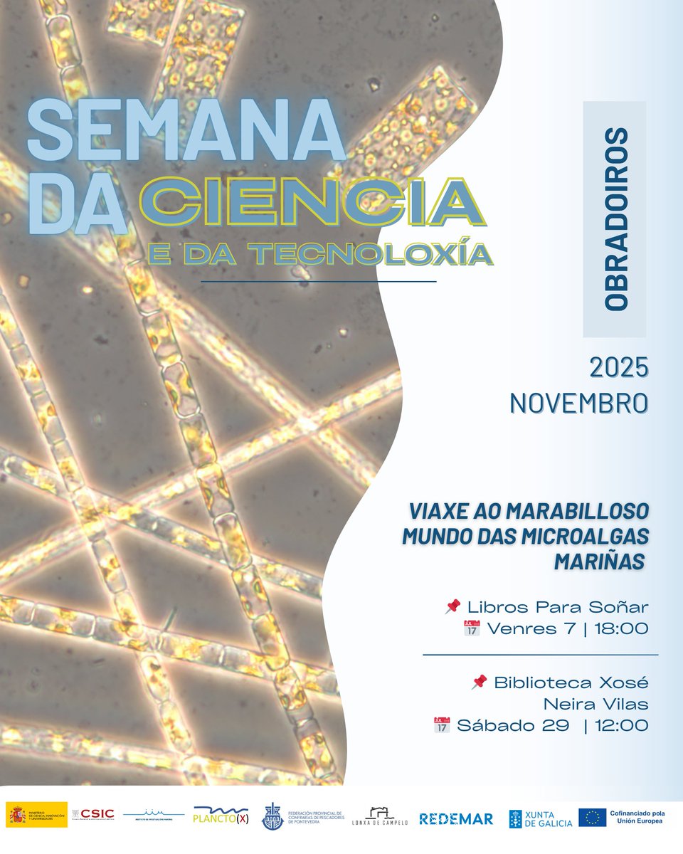IIM_CSIC's tweet photo. 🌊 Este novembro celebramos a #SemanaDaCiencia!
Achega a túa familia aos nosos obradoiros para descubrir o mundo invisible do fitoplancto e das microalgas mariñas 🌿🔬
#CienciaEnGalego #DivulgaciónCientífica #IIMCSIC #CienciaParaTodos #Vigo #Galicia https://t.co/drx3vQG77P