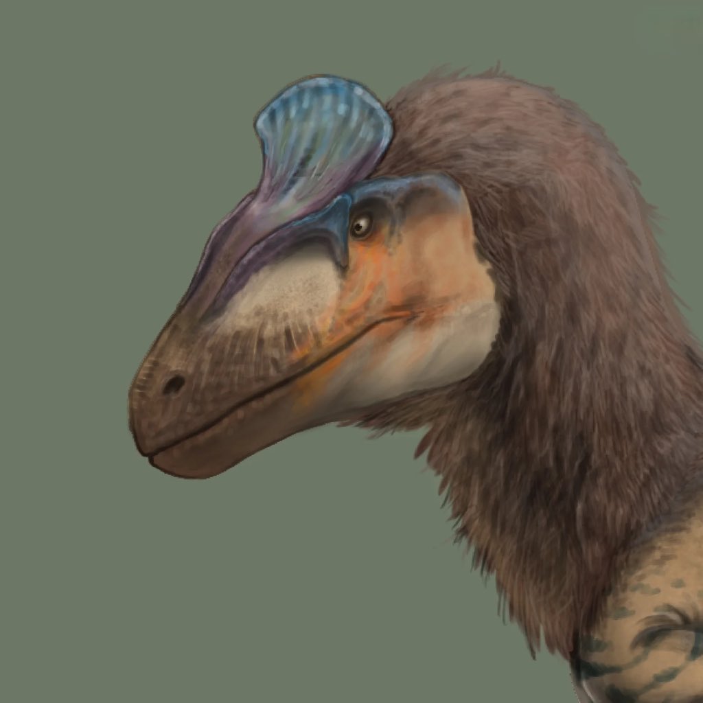 dreammmm176572's tweet image. Cryolophosaurus ellioti #dinosaurs #cryolophosaurus #art
