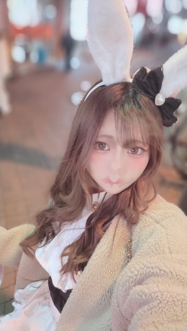 池猫 ~池袋の猫たち~のツイート