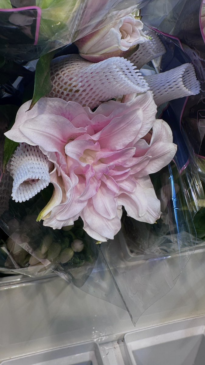 怎么会有人不喜欢逛超市呀…我最喜欢的就是和朋友或者恋人逛超市、规划今晚要做什么这种感觉我特别特别幸福、、