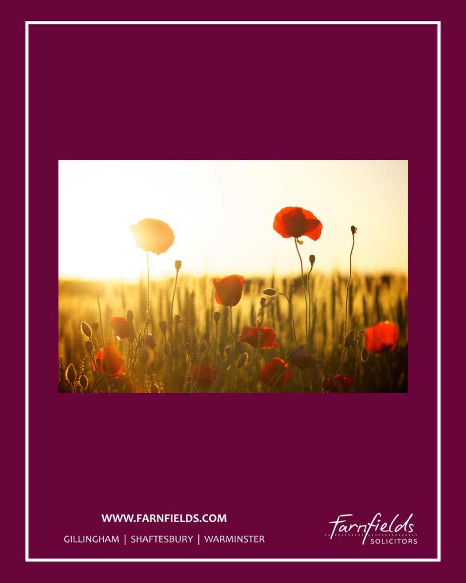 Today, we pause to honour Armistice Day a time to remember the courage, sacrifice, and service of all who have fought for peace and freedom.

We pay tribute to those who gave their lives and to the veterans who continue to inspire us with their dedication and resilience.