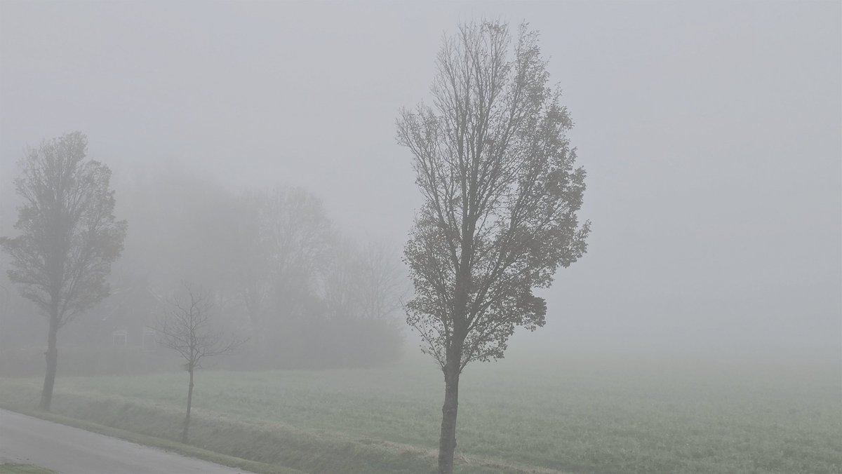 Een bewolkte zonloze dag met mist en ca 12 graden.