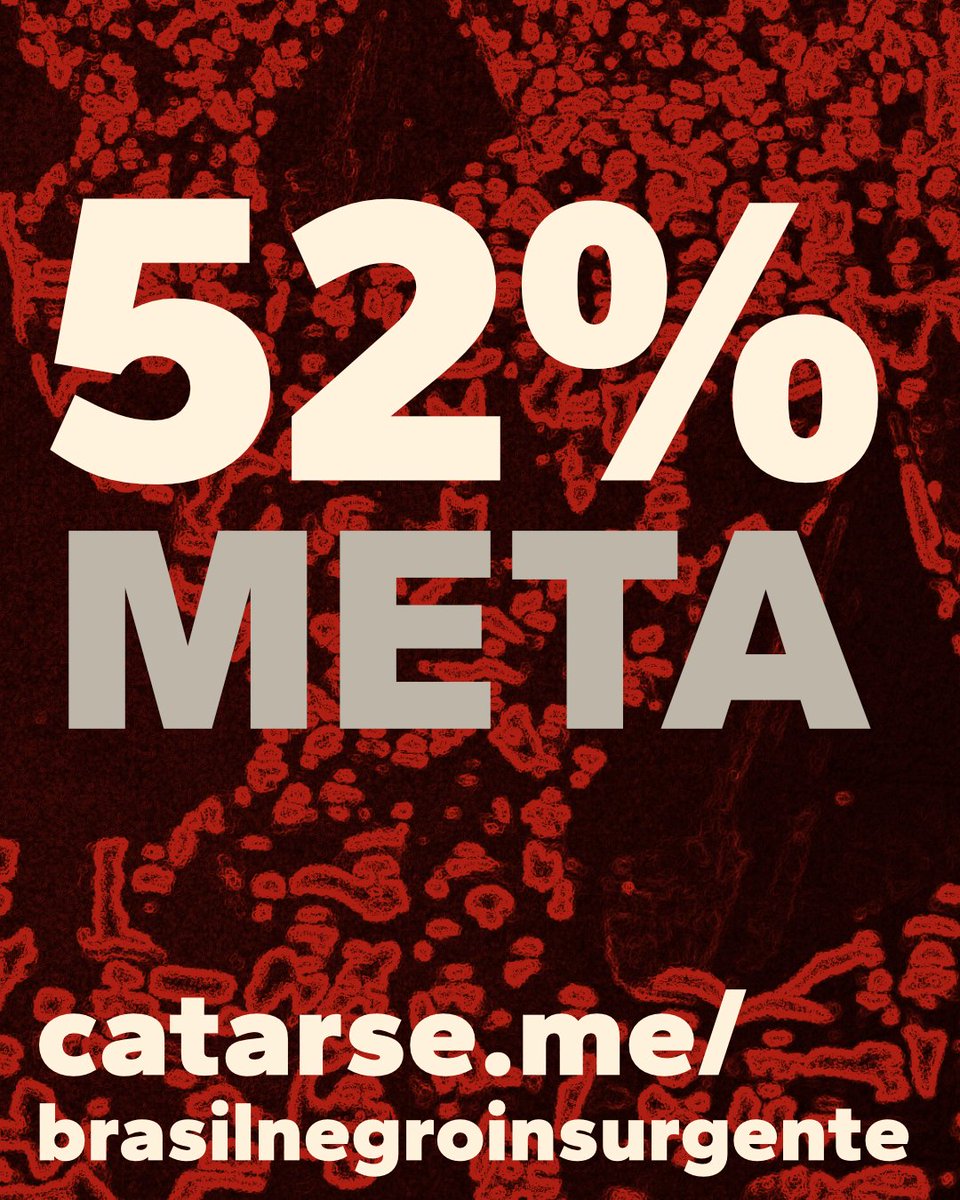 Chegamos à metade do caminho com a força de quem não desiste de lembrar.
Cada apoio é uma semente de memória plantada contra o esquecimento.
Seguimos juntos, porque recontar a história também é um ato coletivo.
catarse.me/brasilnegroins…