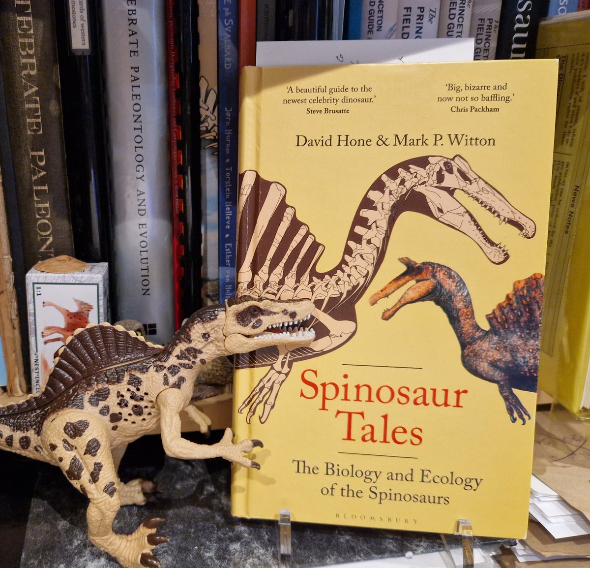 TetZoo's tweet image. Two new #Spinosaurus-themed things just arrived at Tet Zoo Towers. Congrats Dave Hone and Mark Witton for the release of what looks like a very well designed book. #dinosaurs