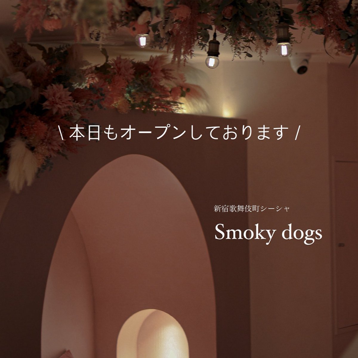 Shisha cafe Smokydogs 歌舞伎町 tweet media