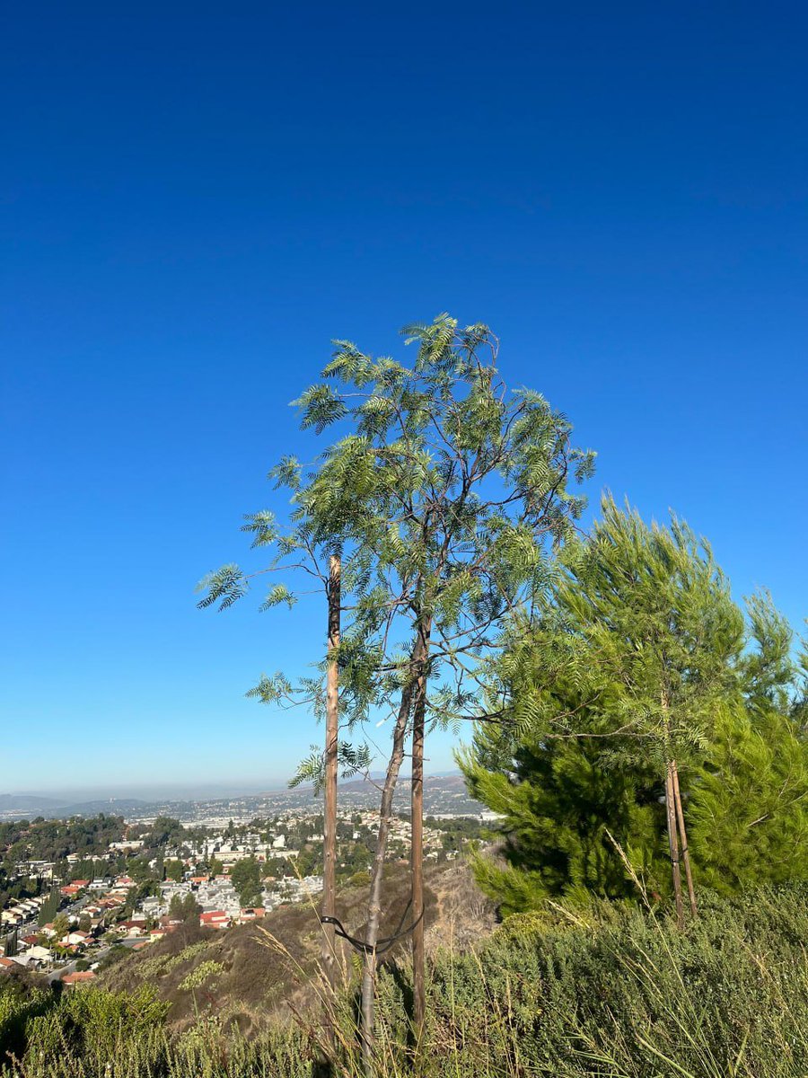 cmreports's tweet image. 