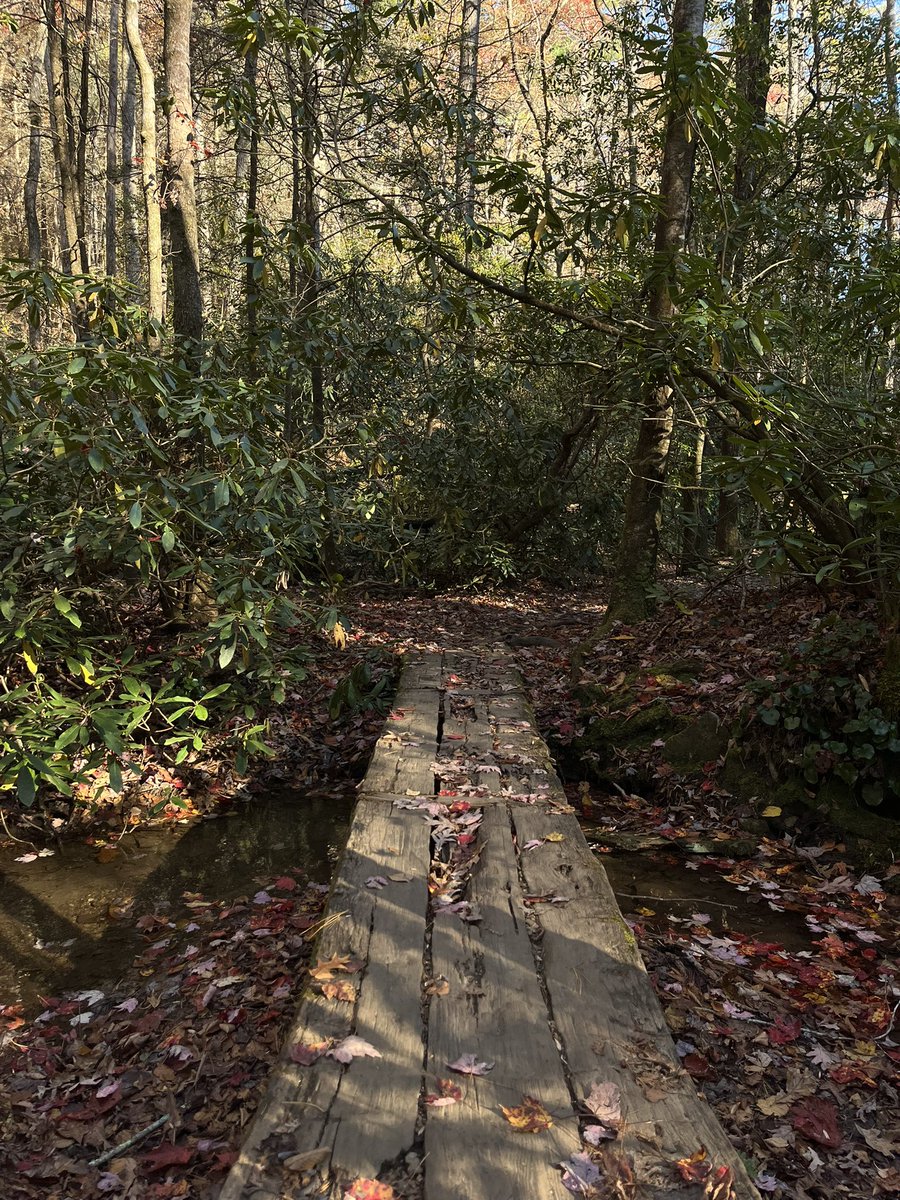 Melinaz5455's tweet image. (◕‿◕✿)