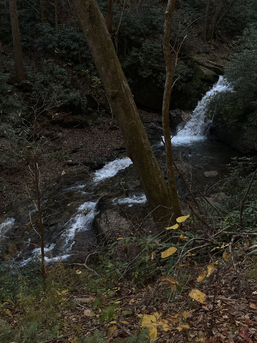 Melinaz5455's tweet image. (◕‿◕✿)