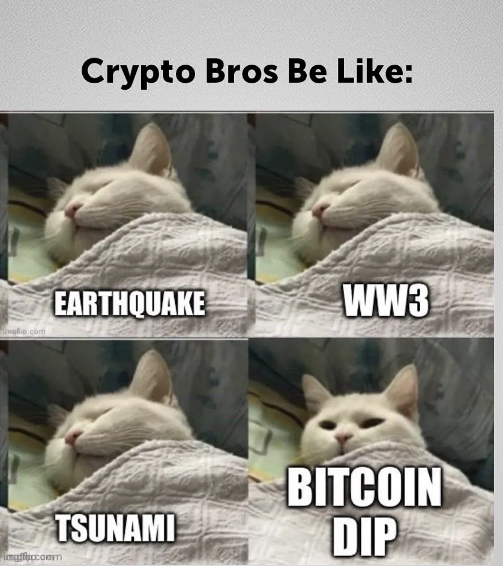 BoxminingMartin's tweet image. Crypto bros be like