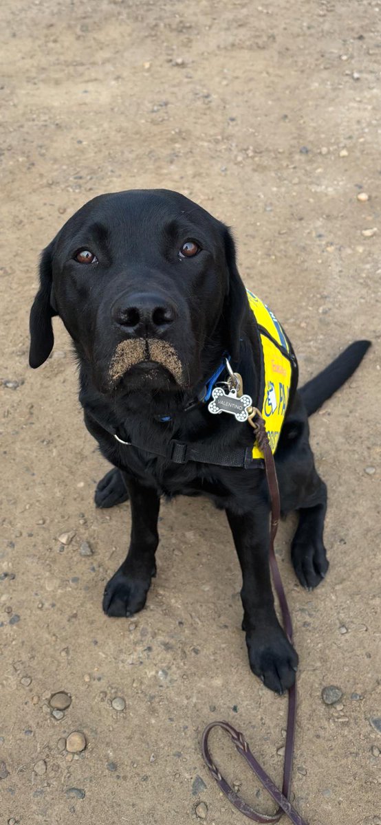 CPSVAST's tweet image. Movember, anyone? 

#MentalHealthMatters #Smile #dogsofX