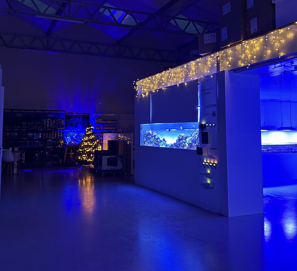 nr1mitskistan's tweet image. merry fishmas (put up the christmas decoration at work today)