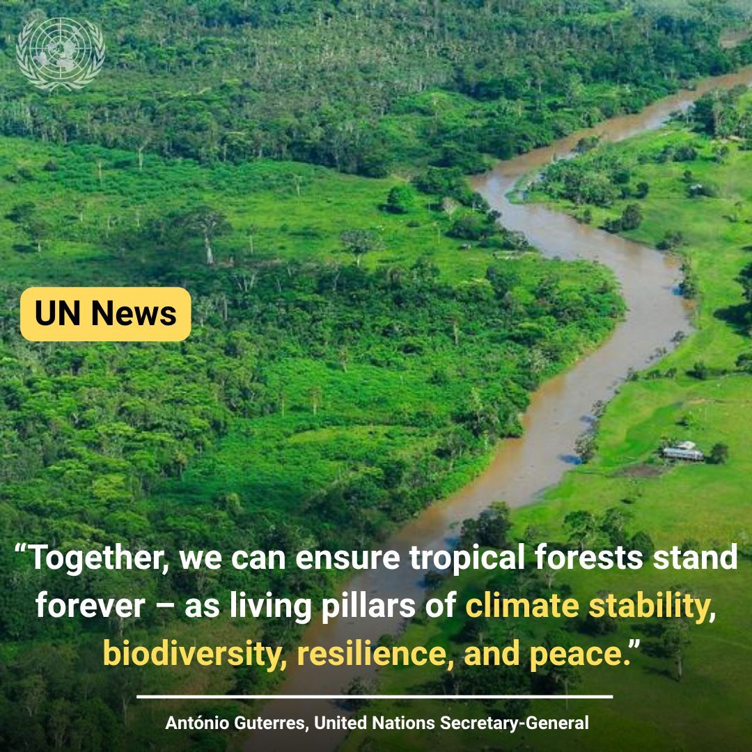 A historic shift in Belém: #Brazil launches a global fund to reward countries that protect their forests.

Up to $4 billion a year to make tropical forests pillars of climate stability, biodiversity, and peace. 

buff.ly/z7ofz8m 

#COP30 #ClimateAction