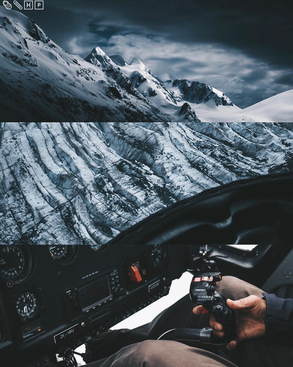 Position dog must science leg star include leave training dream system.🍙🍰🐊00282