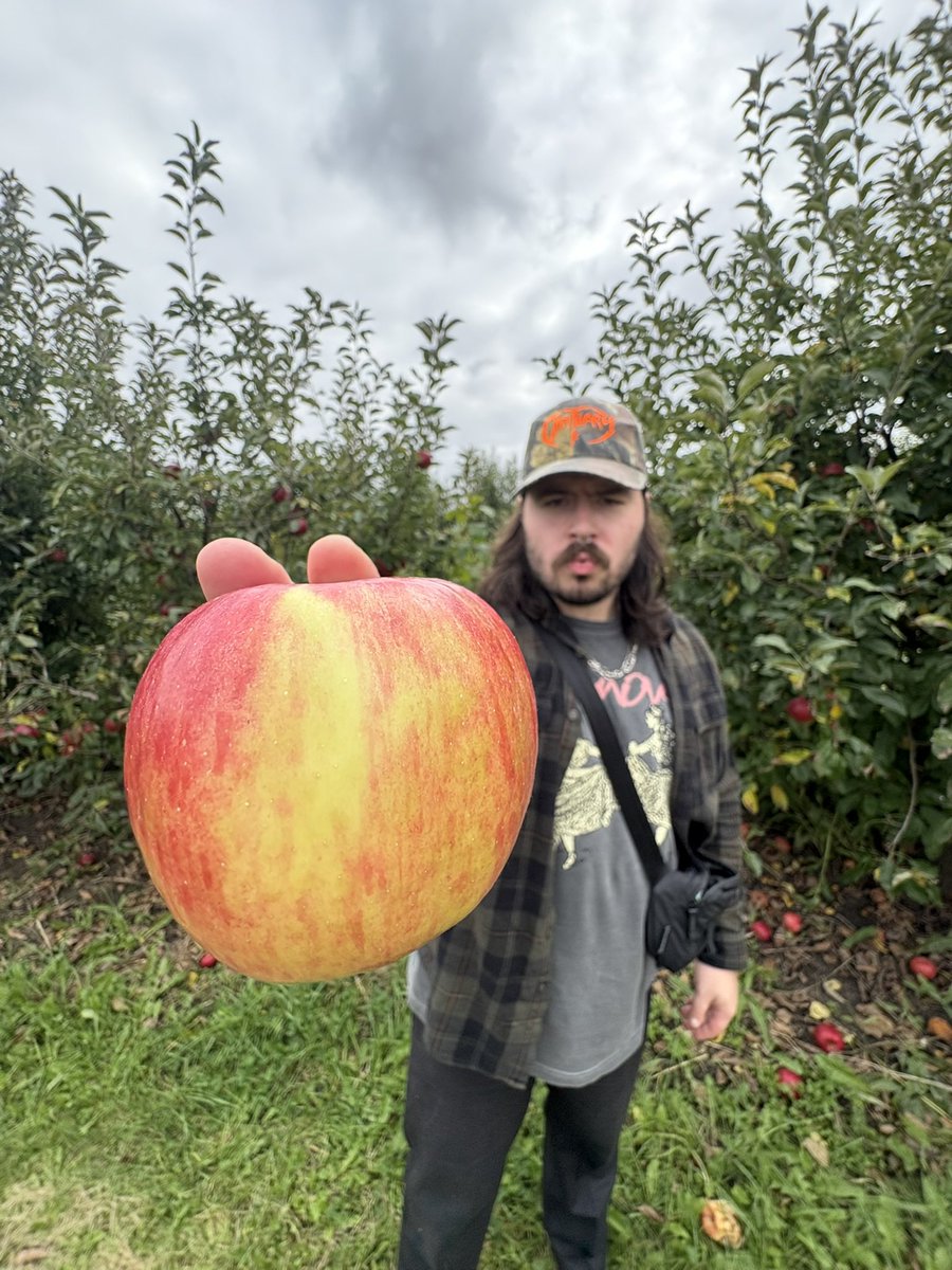 Andrew 🔻 tweet media