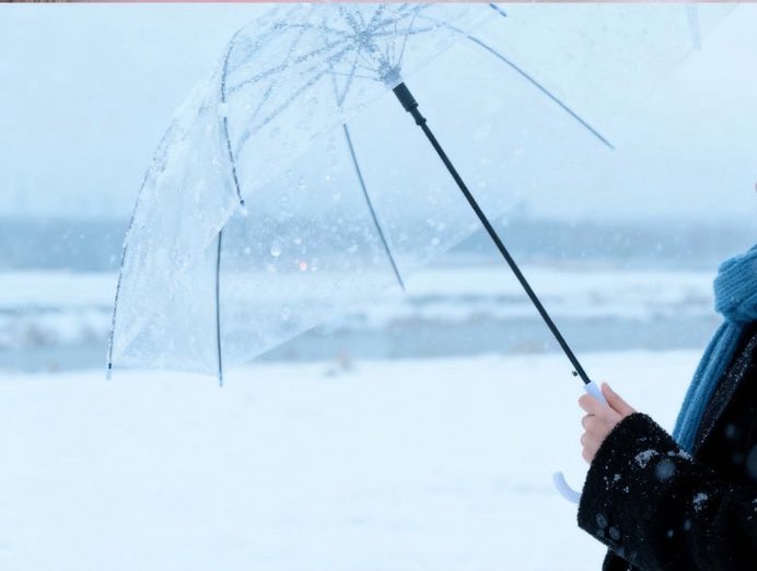 同盟のボイチャ毎度面白すぎ