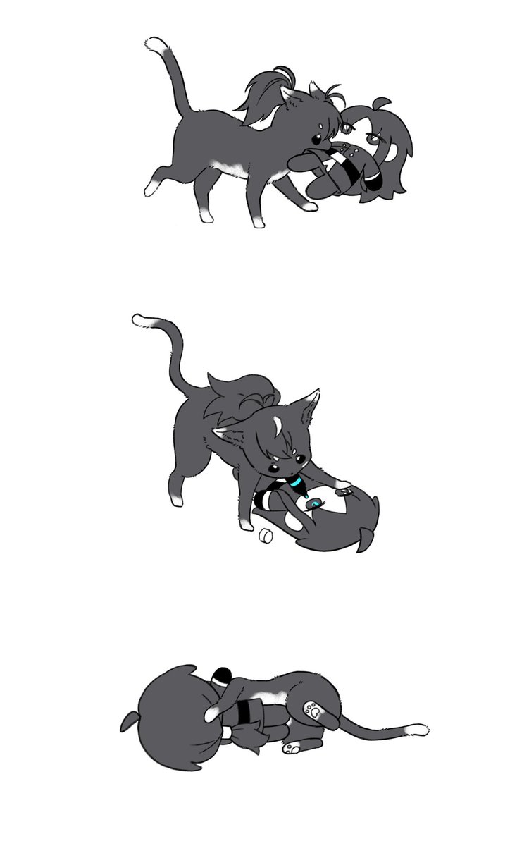 "친구가 필요해" 인형을 훔친 고양이