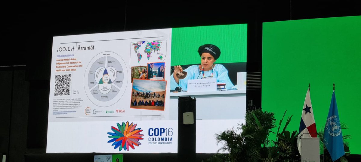 ⴰⵔⵔⴰⵎⴰⵜ The Ărramăt Project tweet media