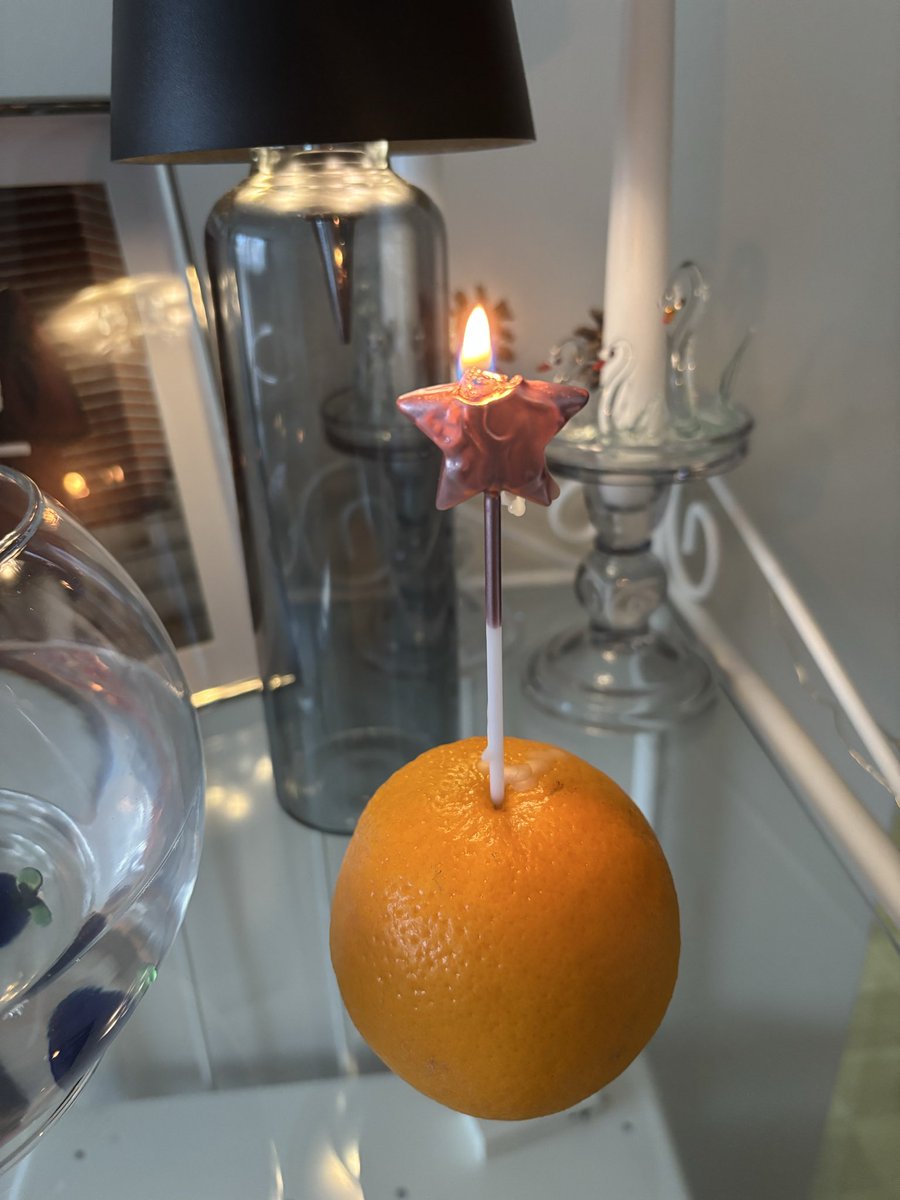 -Balığın eve geliş yıldönümü- balığın fotosu yok çünkü kabul göremeyecek kadar çirkin benim çerikom