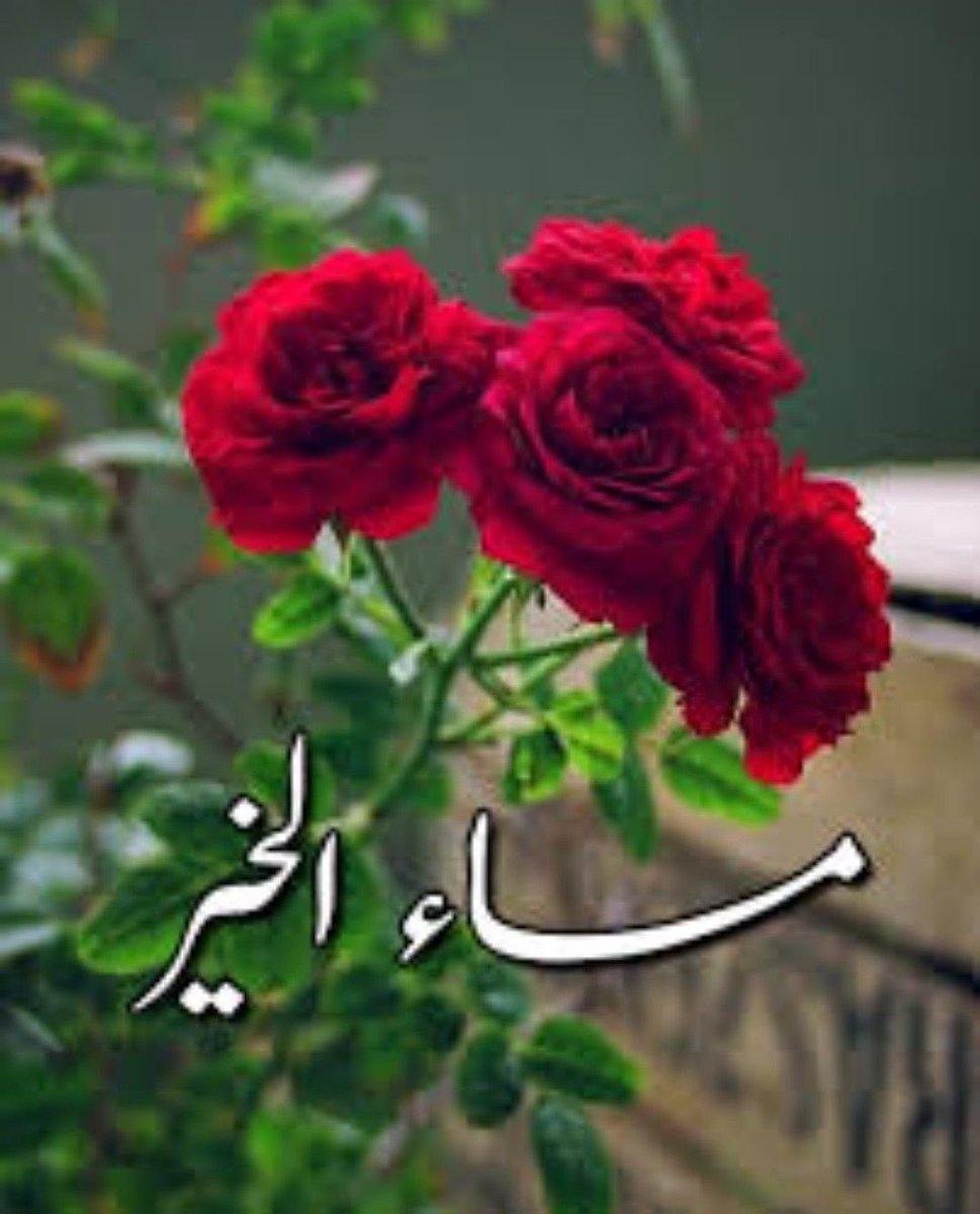 AadamHasan12's tweet photo. أروع أن تحب إنساناً في الله تأمرك الروح أن تسأل عنه ويجبرك القلب أن تدعو له وتلح عليك النفس أن تراسله
فمعرفته(نعمة)
و مراسلته( مودة) 
والسؤال عنه(حق) 
والدعاء له (واجــــب) 
أسأل الله أن يرضى عنا جميعاً فليس بعد رضا الله إلا الجنة يارب العالمين. https://t.co/wmHrG0CBoM