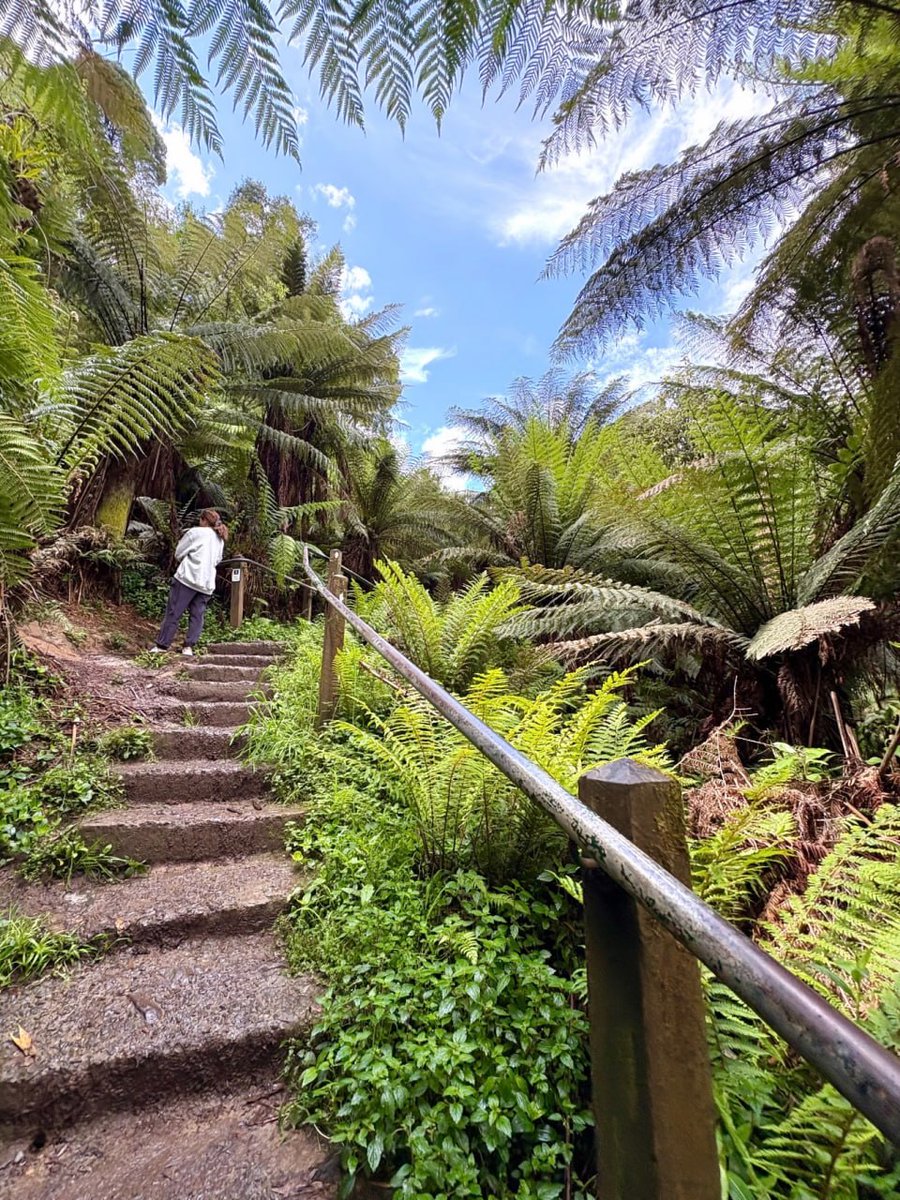 otman4algo's tweet image. 앞으로 나아가는 걸 멈추게 할 만큼 높은 산은 없다 🗻✨