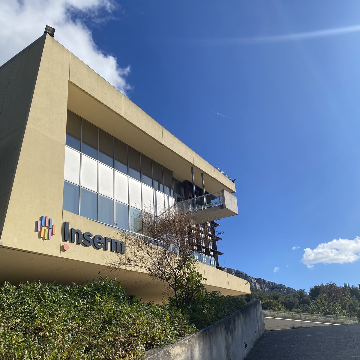 Dylan Terstege tweet media