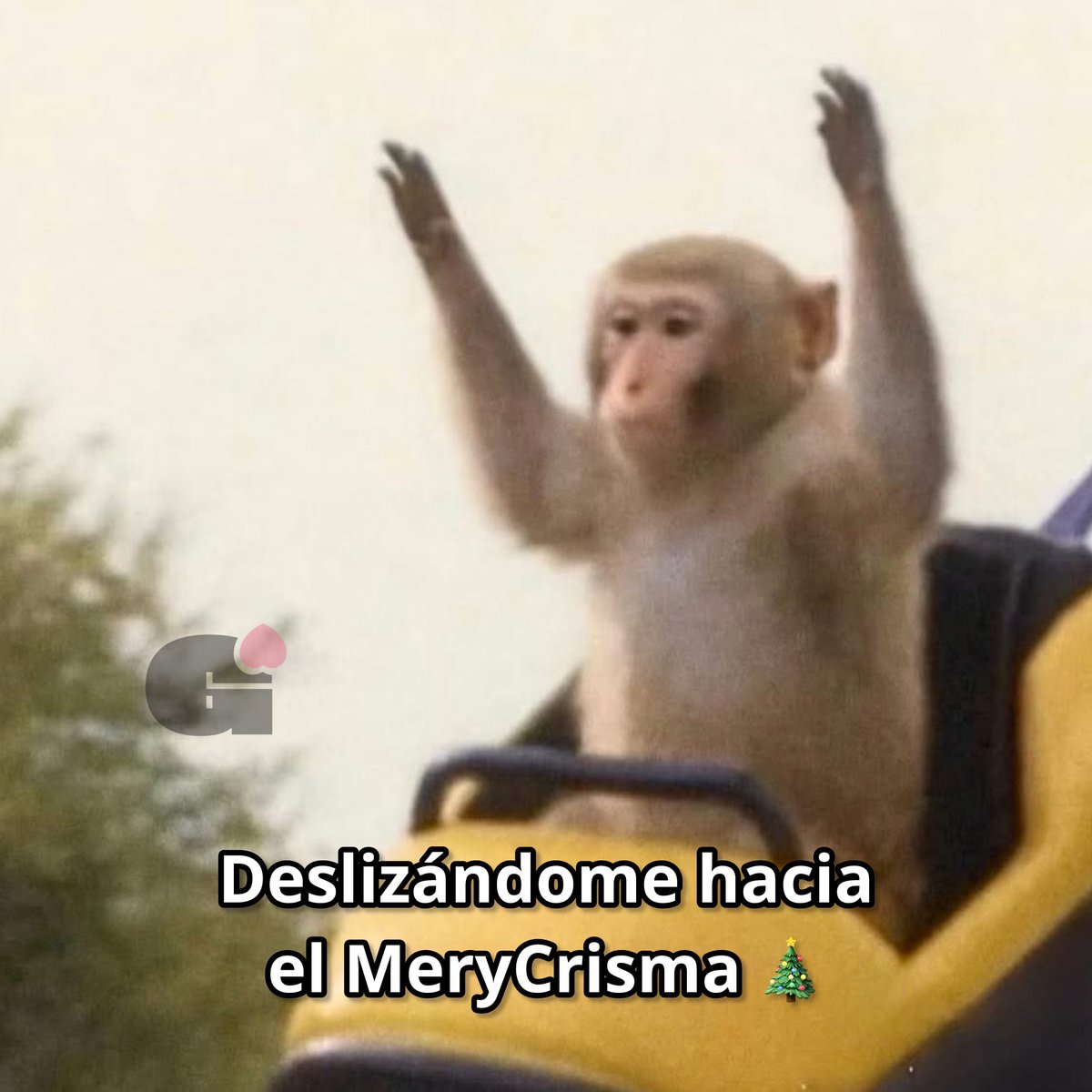 Guarromantico_'s tweet image. MeryCrisma 🎄