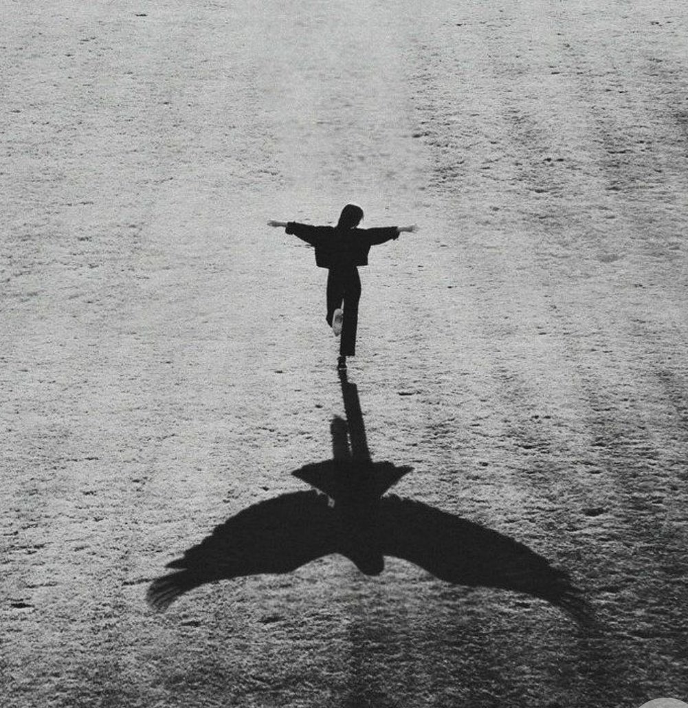 Kamil olsa incitmezdi,
Arif olsan incinmezdin,