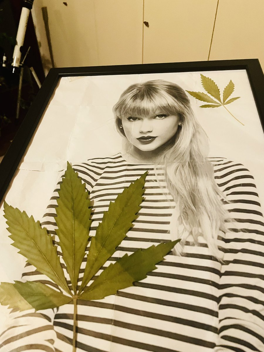 NeFag_'s tweet image. new art project 😍