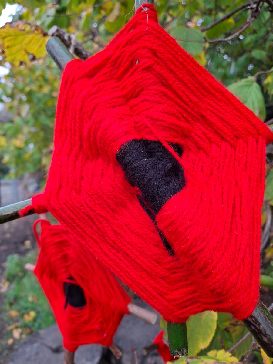 ManorDidcot's tweet image. A busy start to Forest School this term 🌿❤️ Pupils have woven poppies for #Remembrance and impressed Mrs Lako with their dedication &amp;amp; respect as she shared her story as an army wife &amp;amp; RAF granddaughter. A powerful reminder of our debt to those who have served #GLFschools