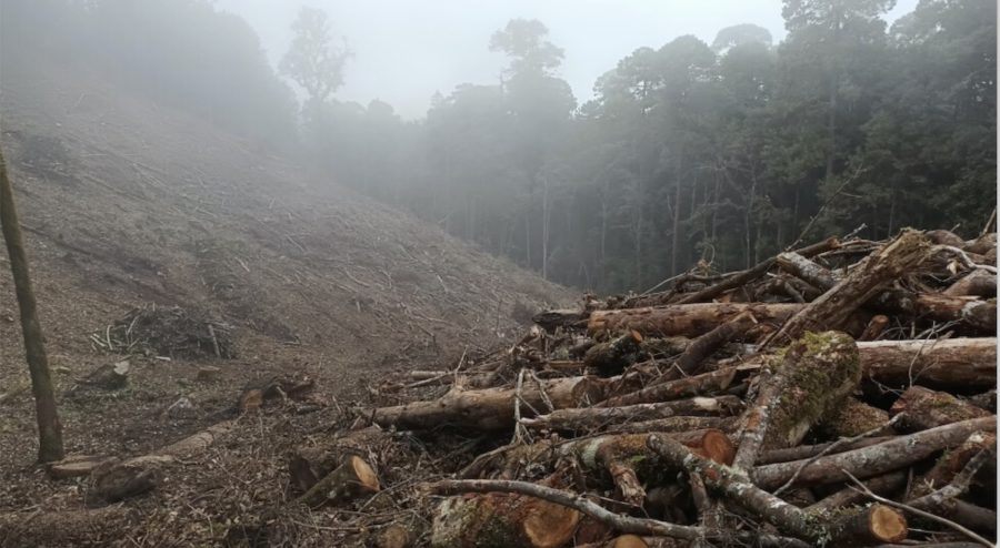¿Sabías qué?.... 

El agua que se infiltra y recarga los acuíferos en los bosques y ecosistemas de la Cuenca y el área metropolitana del Valle de México se encuentra amenazada por la deforestación, tala ilegal, degradación de los suelos, etc...

aguacapital.net/noticias/bosqu…