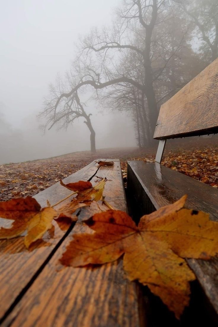 Sümeyra Görgün (@sumeyragrgn) on Twitter photo 