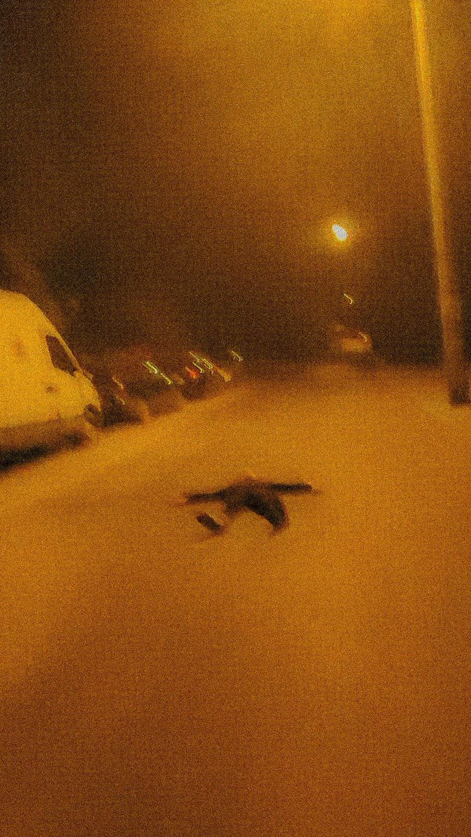 Waiting for someone to run me over.