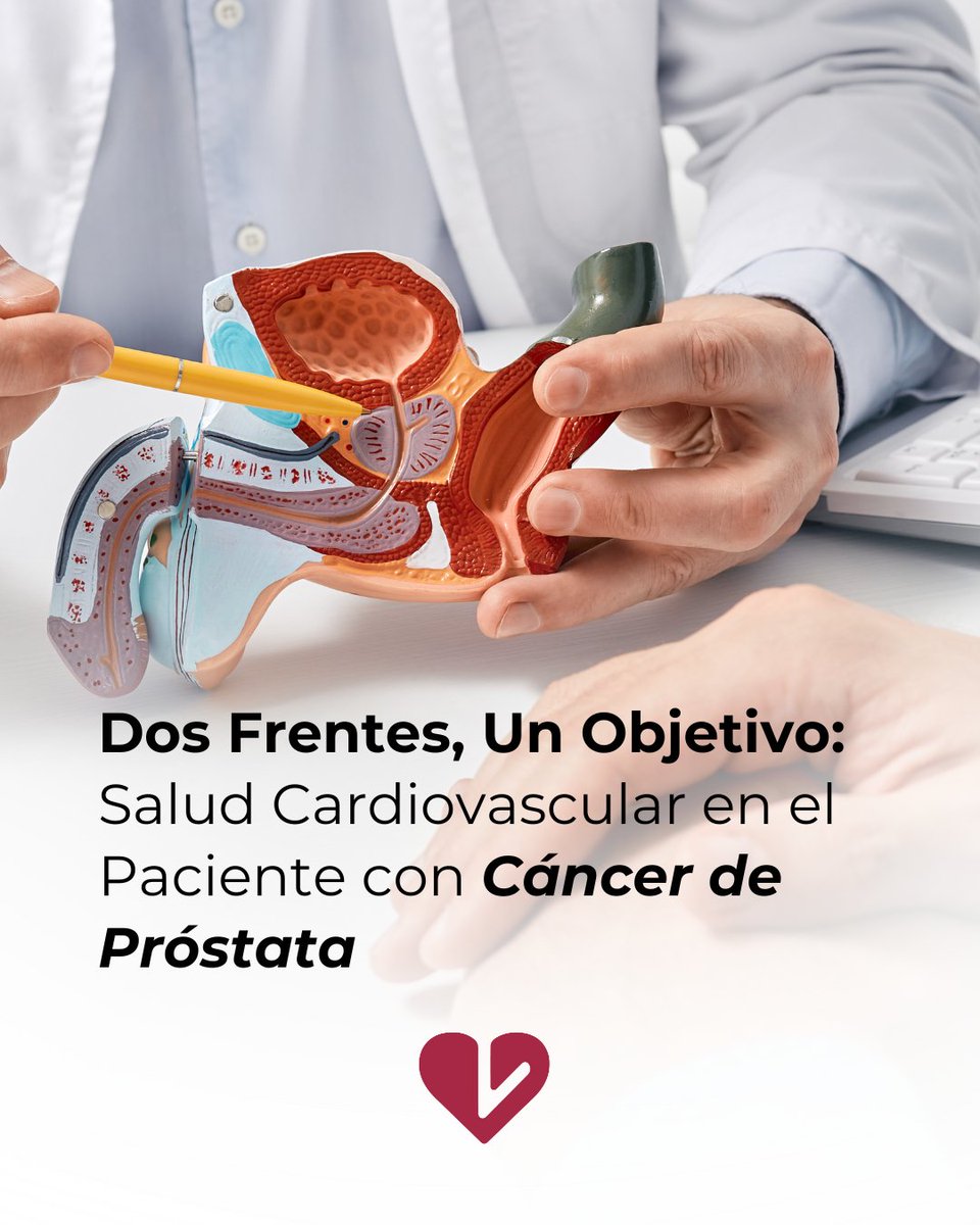 CardiologiaSVC's tweet photo. La salud es un todo. Los sistemas se conectan de formas que pasan desapercibidas. 🔄
En el #MesAzul, hablemos del vínculo vital: salud cardiovascular del paciente oncológico.
Cada parte del cuerpo está conectada.
¿Qué otro elemento tomarías en cuenta?
#SVC #CardioOncología https://t.co/gzSiROeBTt