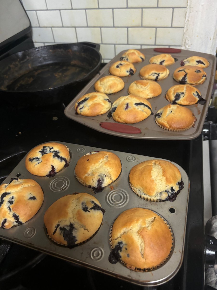 hang with me and eevee and we will bake you gay little treats