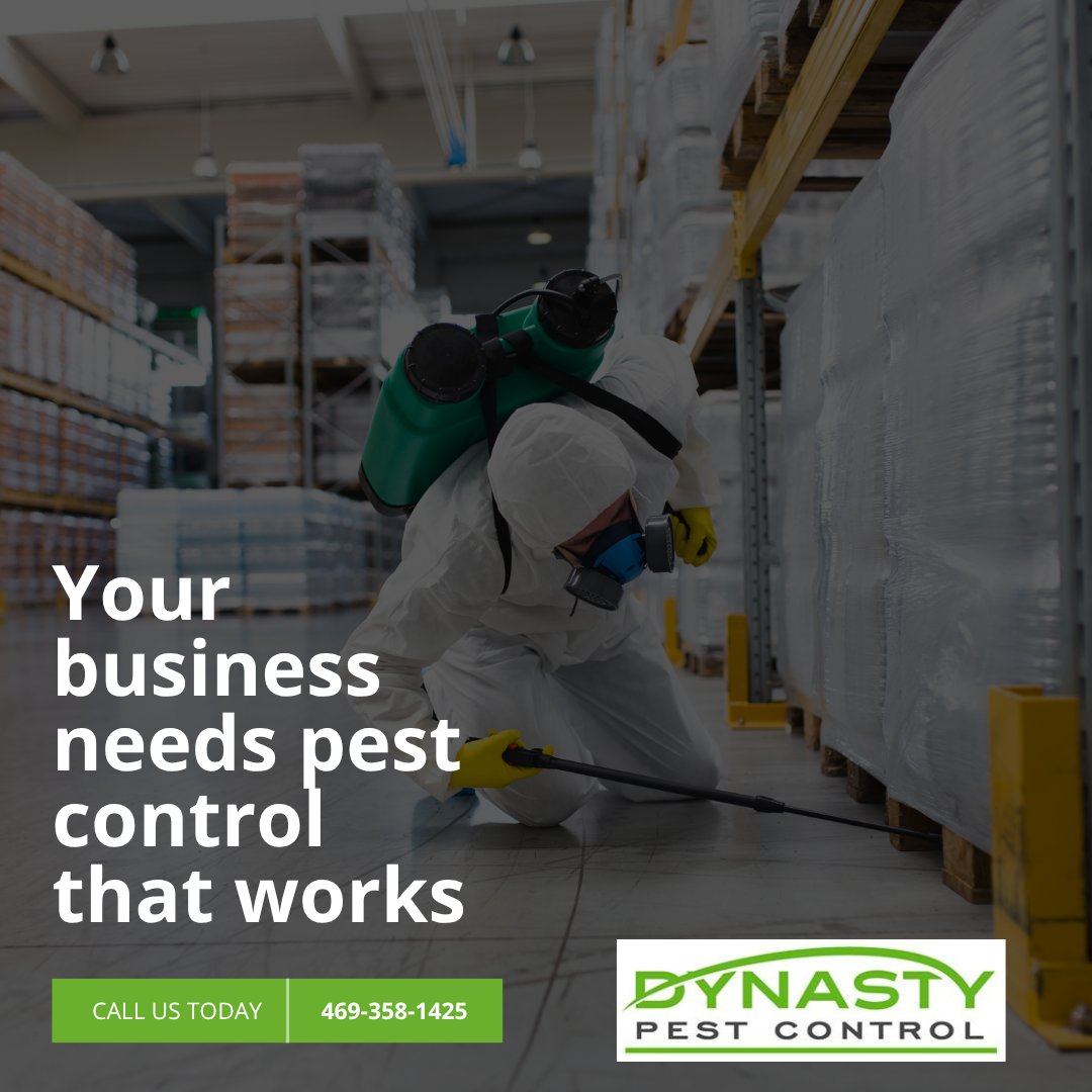 DynastyPest's tweet image. Our team of trained pest control experts will check over every part of your Dallas business and design a monthly treatment plan just for you.

Work with Dynasty Pest Control and enjoy peace of mind without pests. dynastypest.com

#pestcontrolservices #RichardsonTX