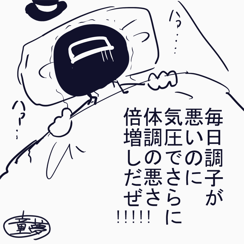 最近気圧変動とかいろいろあって毎日これ 