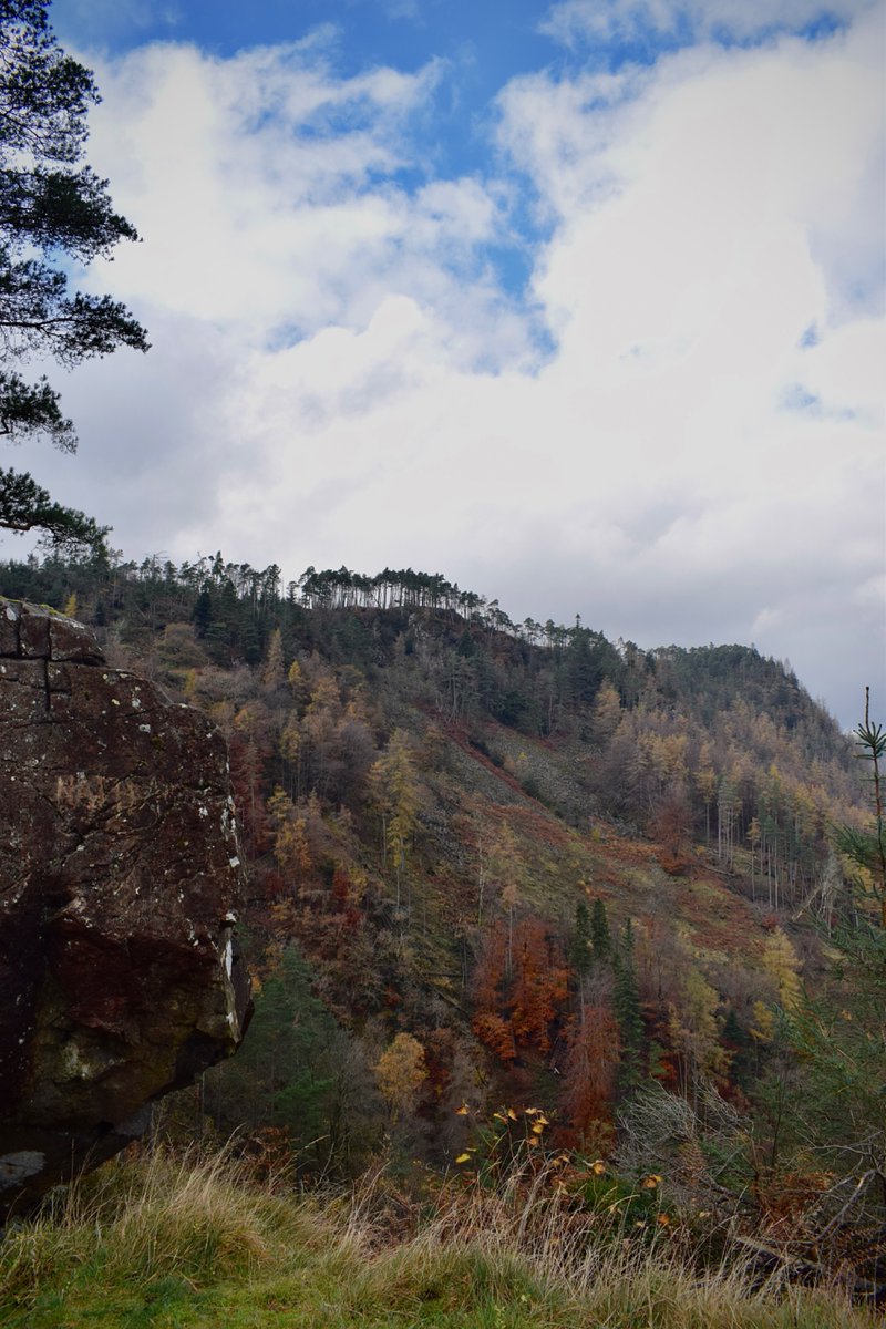 EmTumble's tweet photo. today i walked 12km in autumn’s full colours! https://t.co/Dj1047dwZx