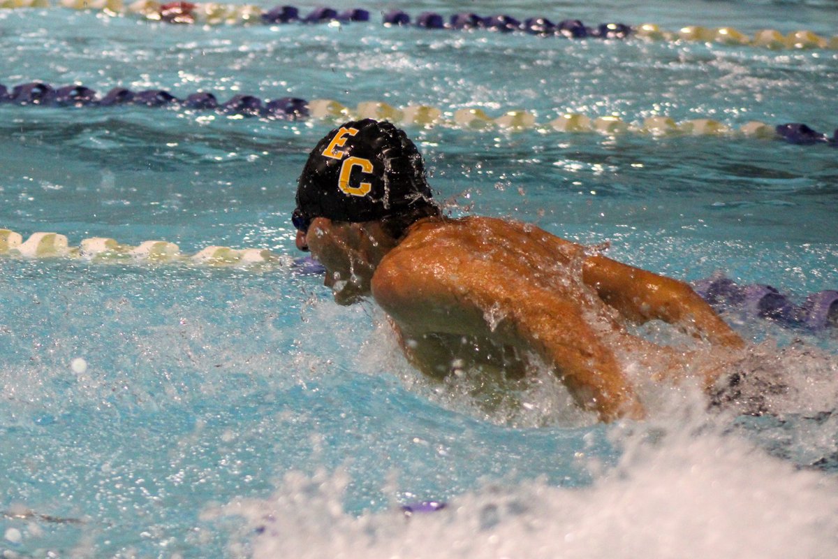 EC Swim tweet media