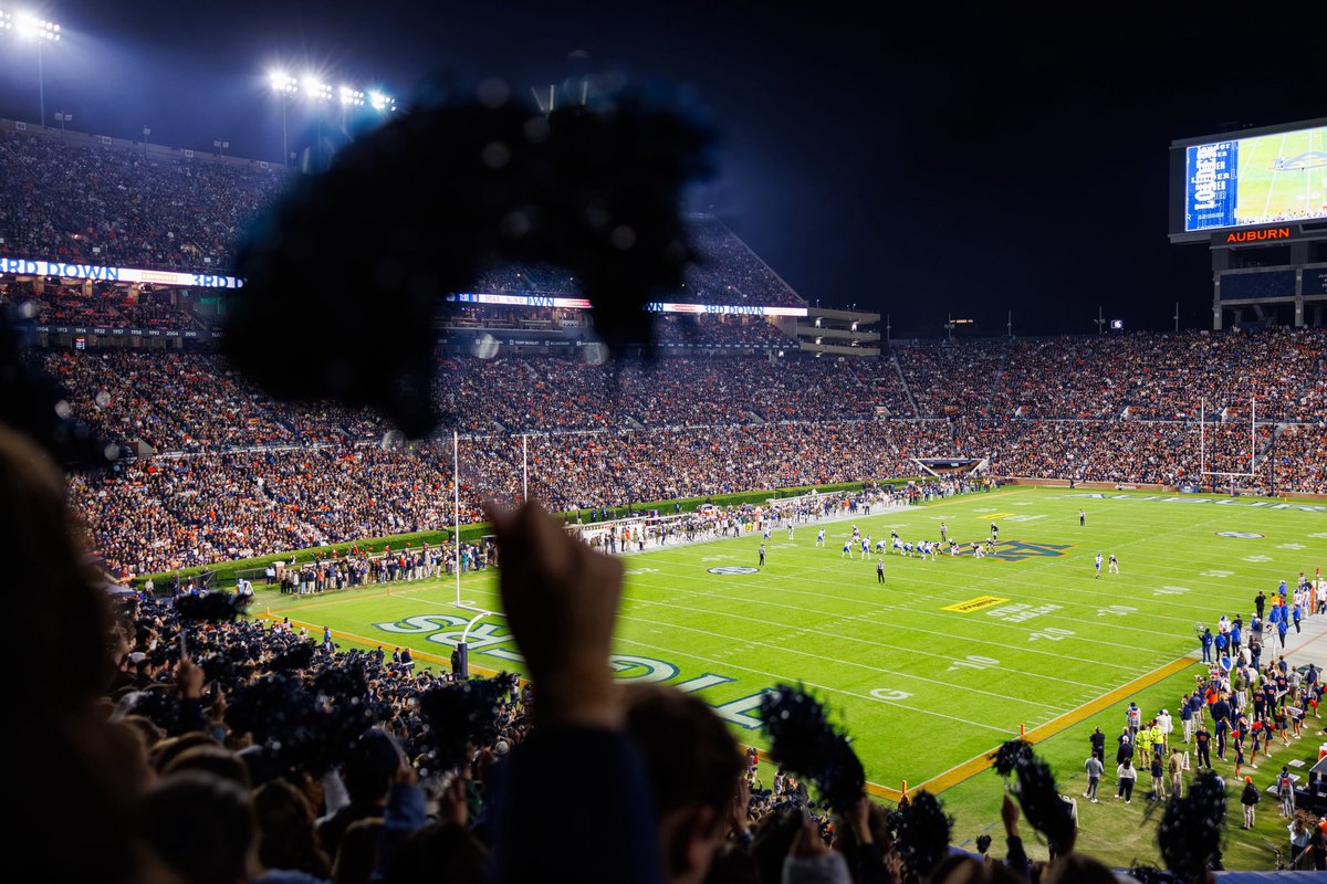 David Gray tweet media