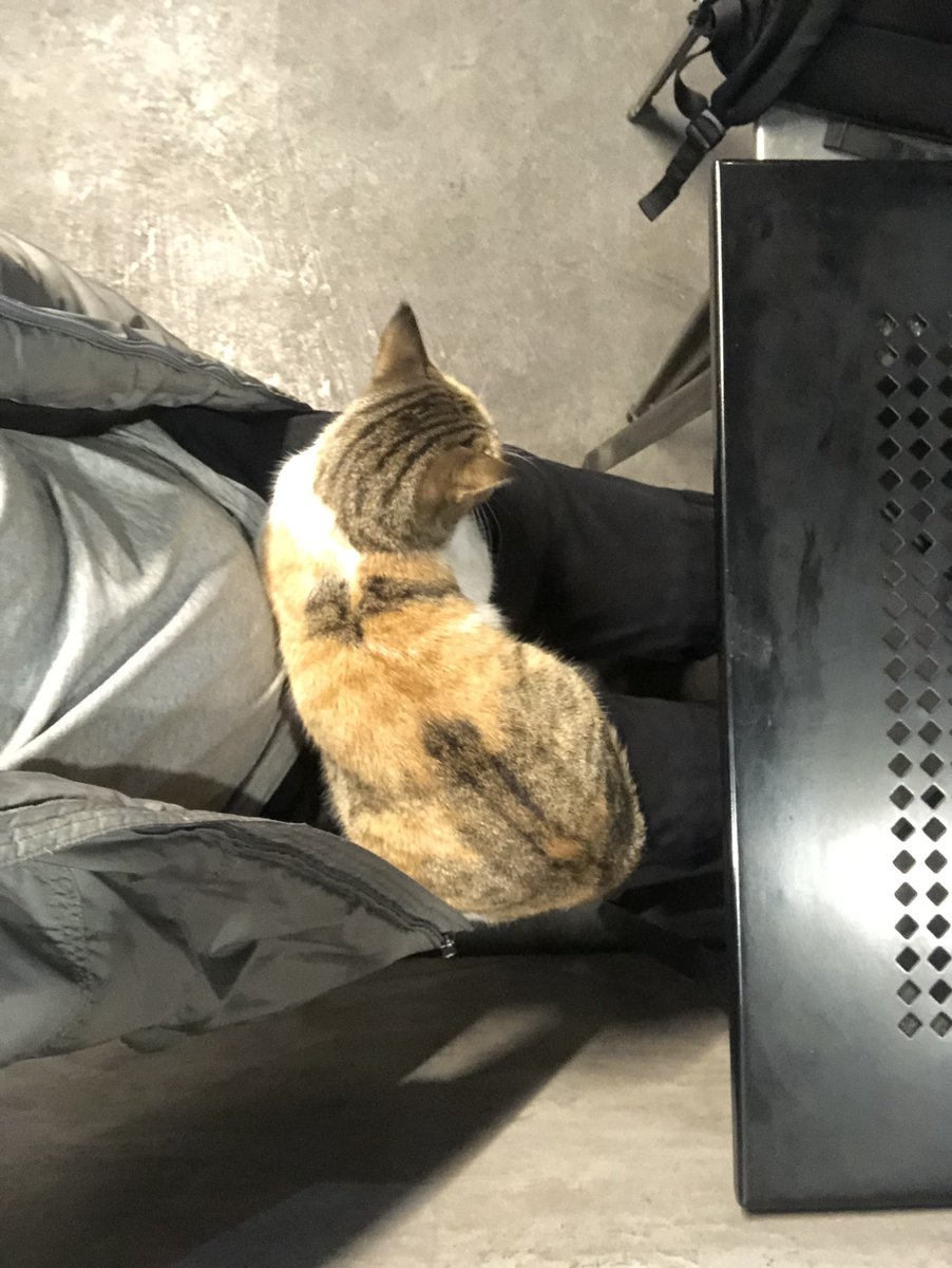 ArazStyle's tweet image. لذتی بیشتر از این هست؟🥲😍