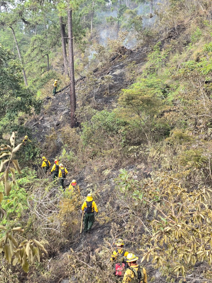 ConredGuatemala's tweet image. #ElProgreso En seguimiento al incendio registrado en aldea Piedras Blancas, San Cristóbal Acasaguastlán, El Progreso; se reporta que la Brigada de Respuesta Inmediata (BRI) controló y liquidó en su totalidad el siniestro.

Fotografías: Sistema CONRED.