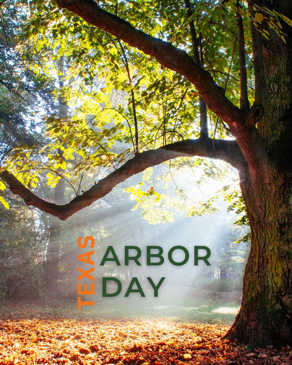 katyisd's tweet image. Texans celebrate Texas Arbor Day each November by planting and caring for trees that clean the air, cool neighborhoods and shelter wildlife. Small actions grow big change. Learn more: tfsweb.tamu.edu/about/news/tex…
 keepkatybeautiful.com/program/legacy…
 #KatyISD #ArborDay