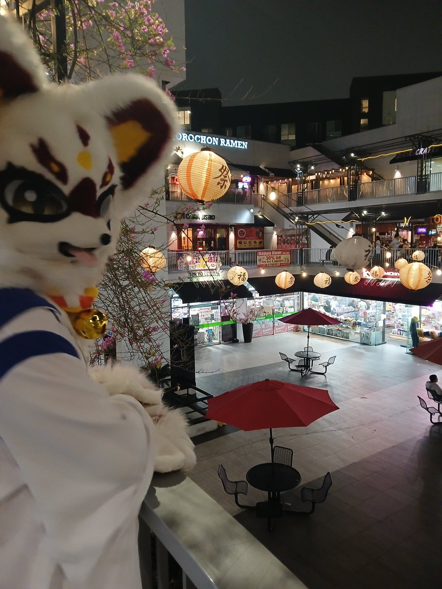 Happy #FursuitFriday! Have any nice plans for the weekend?

#furry #fursuit #kemono #ケモノ