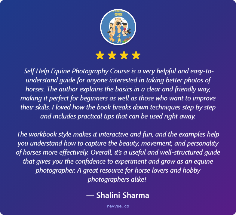 Guiding Horses💙 tweet media