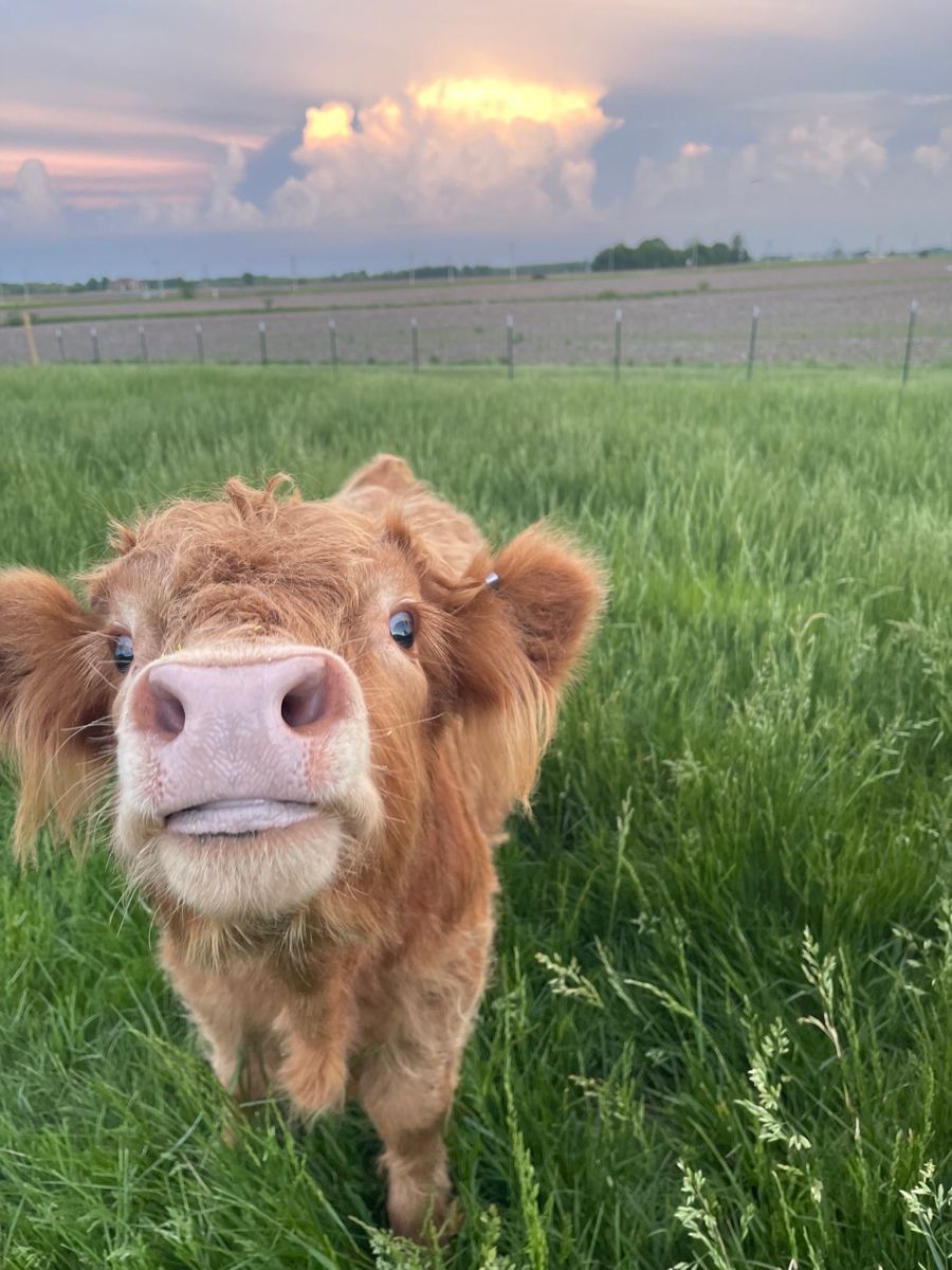 Ohhh t’as validé tes pas ? Récupérer tes WeCards ?